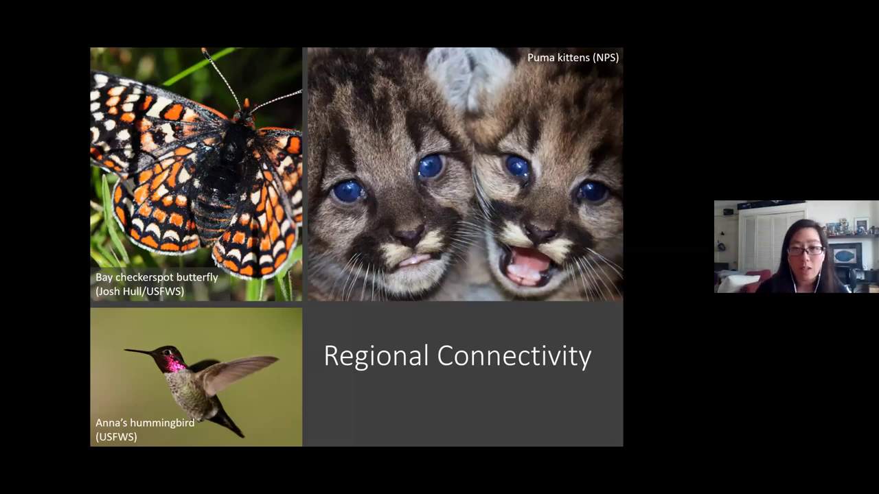 Wildlife Corridors - Speaker: Dr. Tiffany Yap video thumbnail