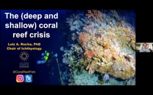 Solving the Coral Reef Crisis - Dr. Luiz Rocha video thumbnail