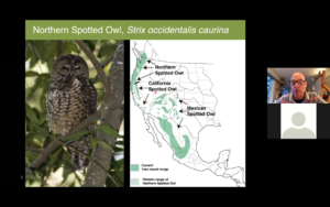 Deep Forest Owls of the Pacific Northwest: A conservation dilemma - Speaker: Dr. John Dumbacher video thumbnail