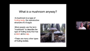 Habitat, Ecology, and Life Cycles of Fungi: “What is a Mushroom, Anyway?” - Speaker: J.R. Blair video Thumbnail