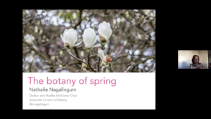 The Botany of Spring - Speaker: Dr. Nagalingum video thumbnail