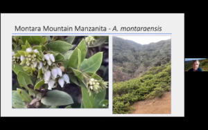 The beauty and complexity of evolution: A focus on Arctostaphylos and its relatives video thumbnail