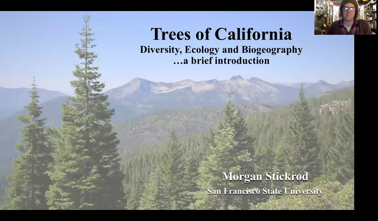 Native Trees of California - Speaker: Morgan Stickrod video thumbnail