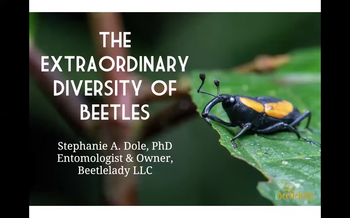 The Extraordinary Diversity of Beetles - Speaker: Dr. Stephanie Dole