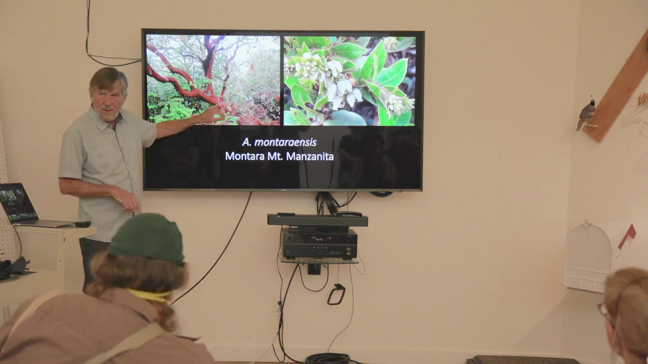 Manzanitas as a whole ecosystem; their place in the ecology of California - video thumbnail