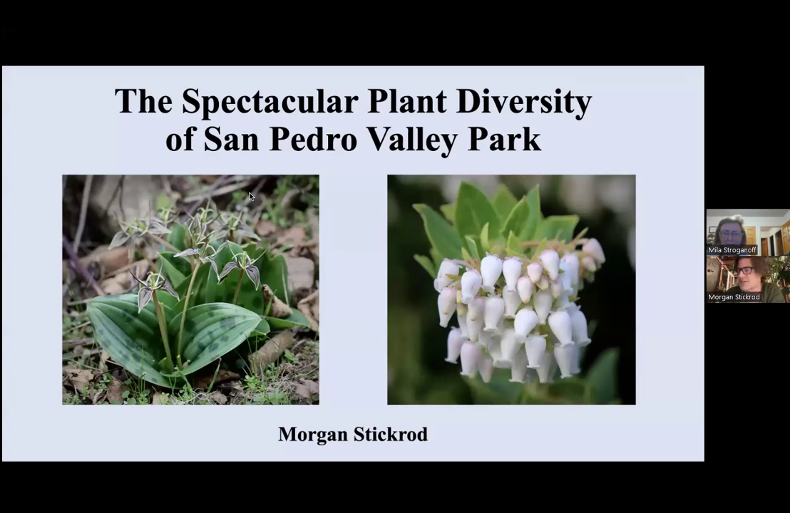 The Spectacular Plant Diversity of San Pedro Valley Park – Morgan Stickrod video thumbnail