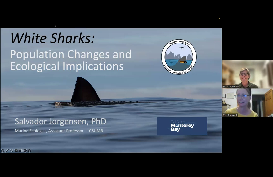 Video thumbnail for Great White Sharks – Speaker: Dr. Salvador Jorgensen