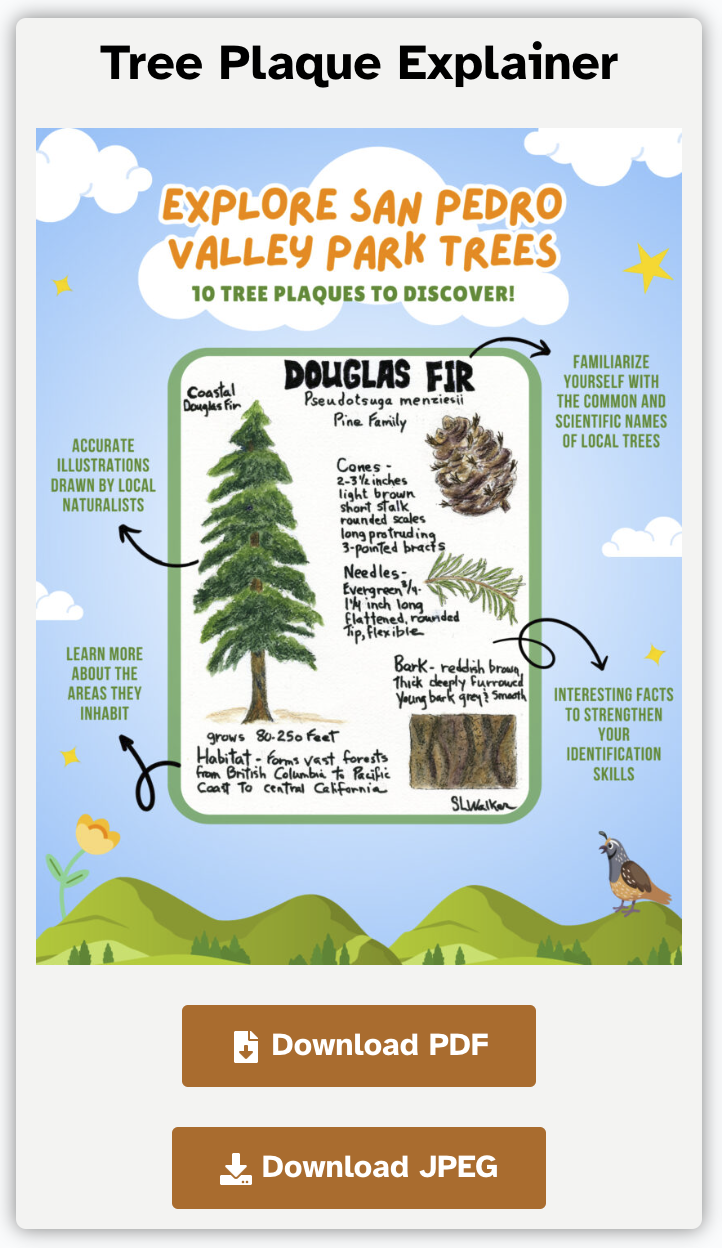 Tree-Plaque-Activity-Page-Image-01