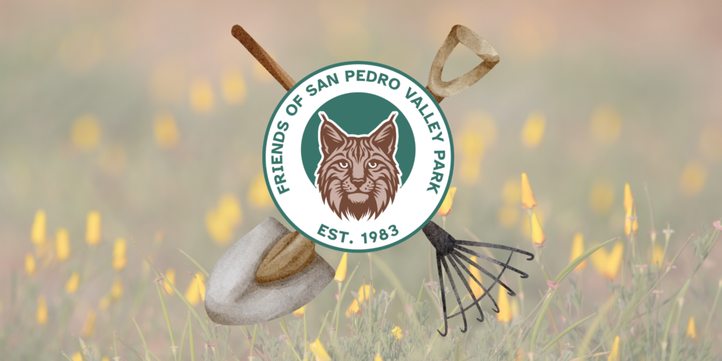 Habitat Restoration logo with a rake and shovel crossed with the Friends of San Pedro Valley Park logo over the top of a faded background image of California poppies.