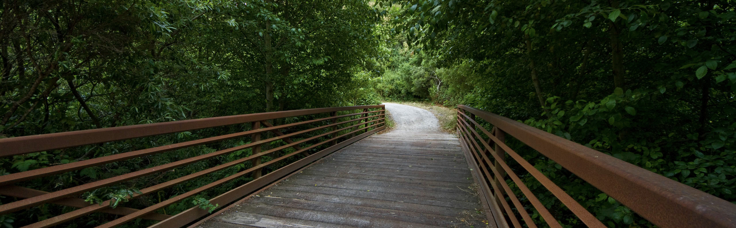 Bridge over Middle Fork, San Pedro Creek on Weiler Ranch Trail