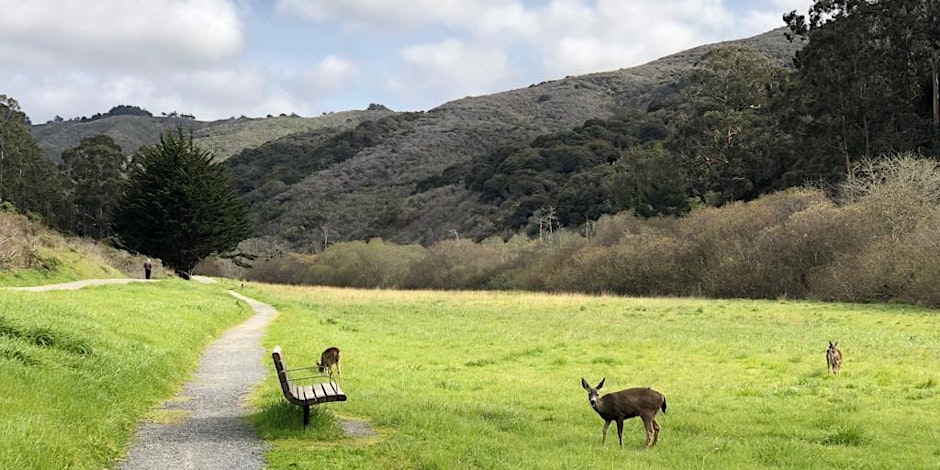 Weiler Ranch Trail with bench and deer in the foreground.