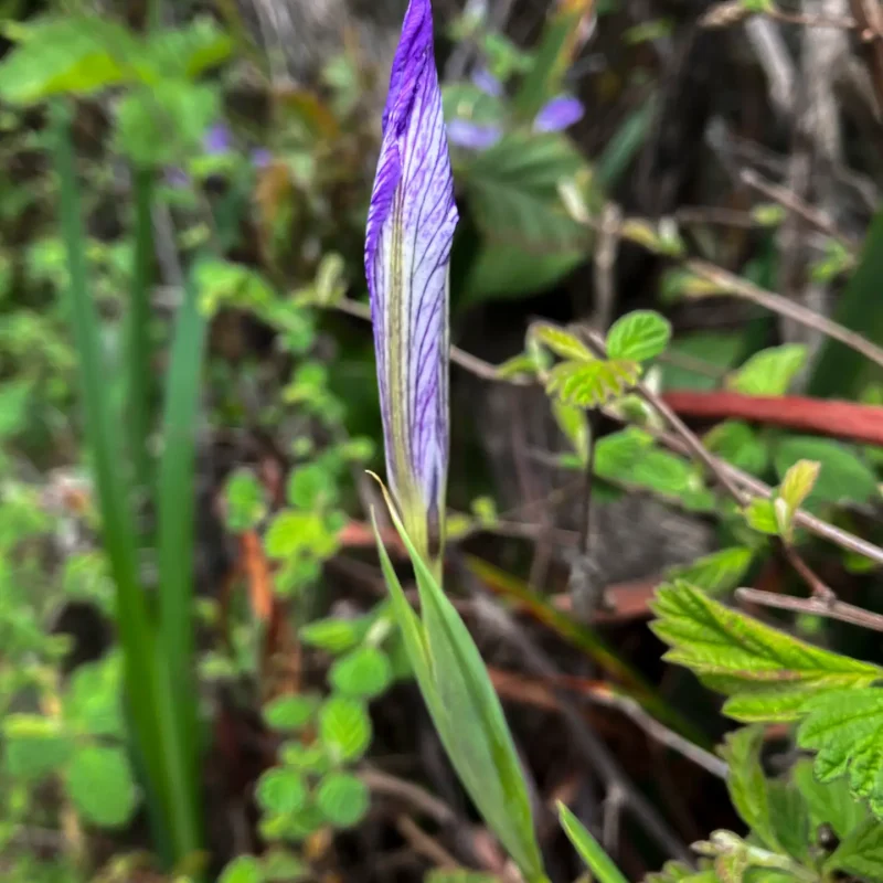 Photo by Shane Kadlecik