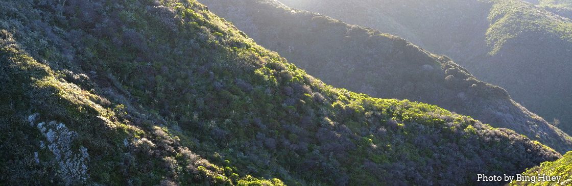 Habitat-Banner-with-Montara-Slopes